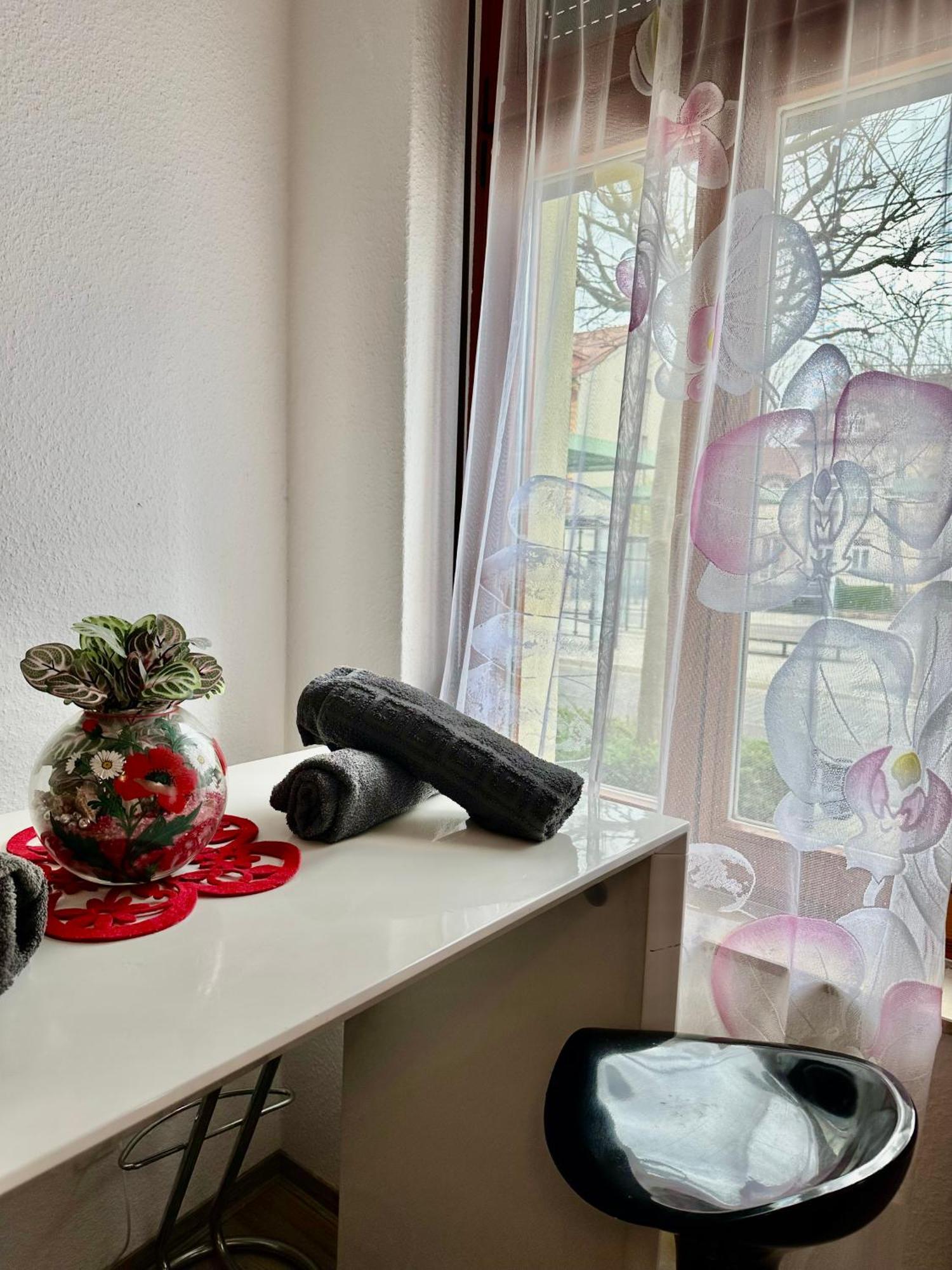 Ferienzimmer Healing Und Montuerwohnung Weißenfels Exterior foto