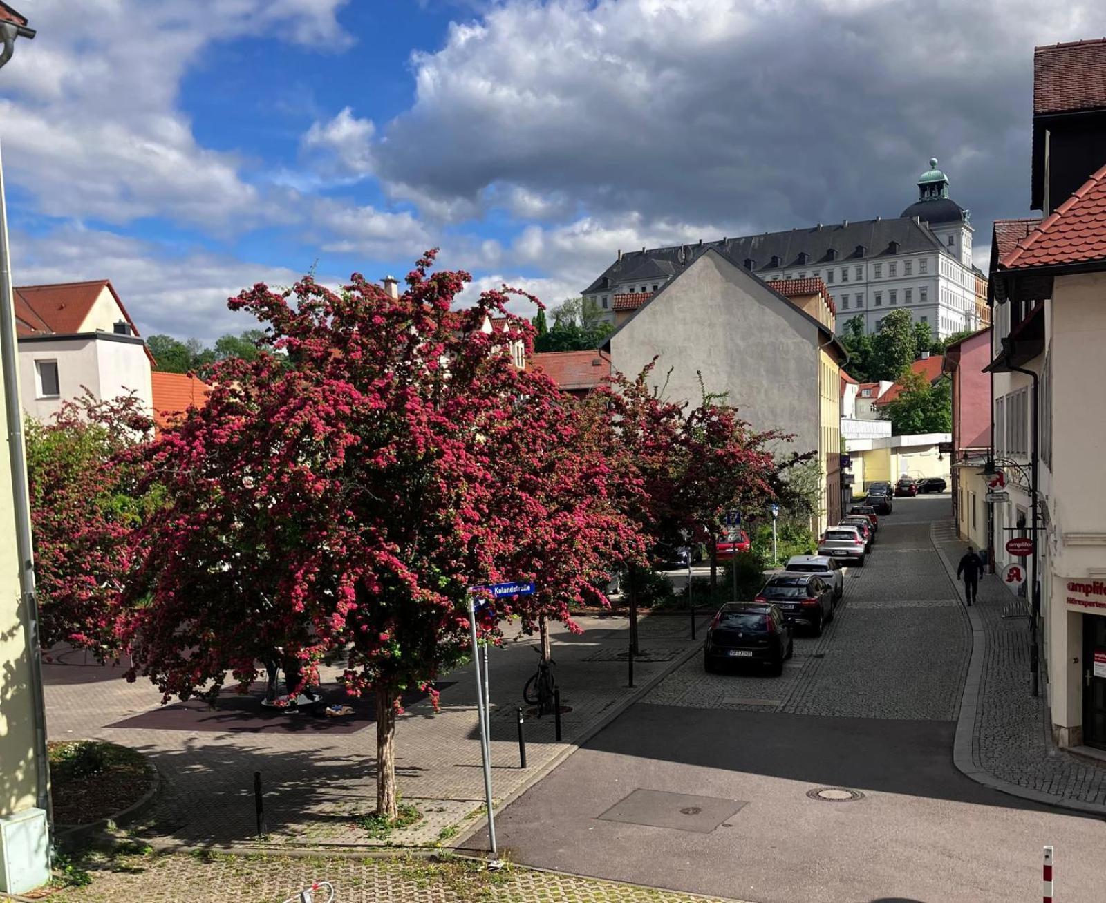 Ferienzimmer Healing Und Montuerwohnung Weißenfels Exterior foto